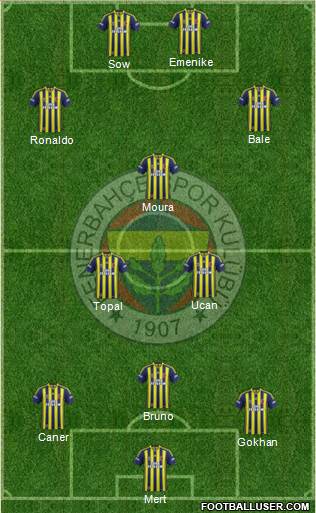 Fenerbahçe SK Formation 2014