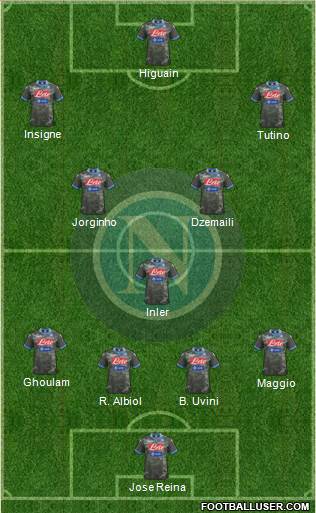 Napoli Formation 2014