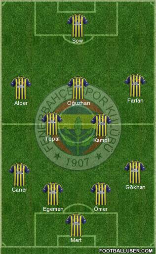 Fenerbahçe SK Formation 2014
