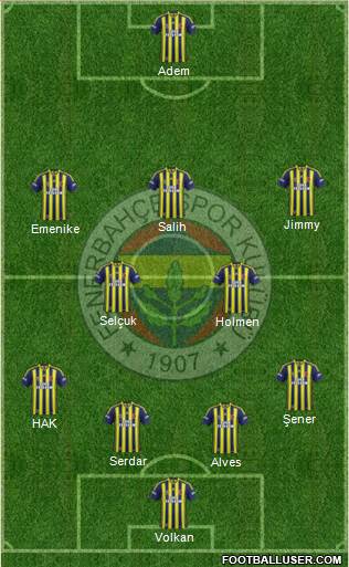 Fenerbahçe SK Formation 2014