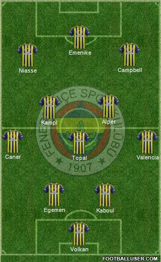 Fenerbahçe SK Formation 2014