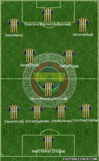 Fenerbahçe SK Formation 2014