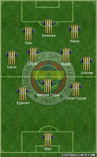 Fenerbahçe SK Formation 2014