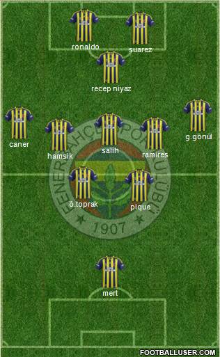 Fenerbahçe SK Formation 2014