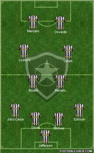 Botafogo FR Formation 2014