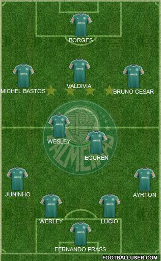 SE Palmeiras Formation 2014
