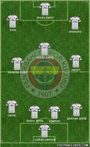Fenerbahçe SK Formation 2014