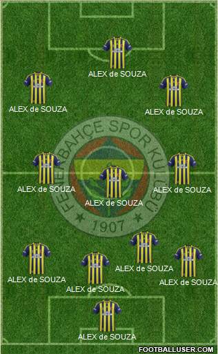 Fenerbahçe SK Formation 2014