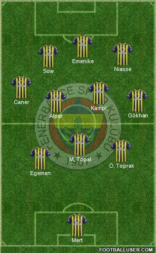Fenerbahçe SK Formation 2014