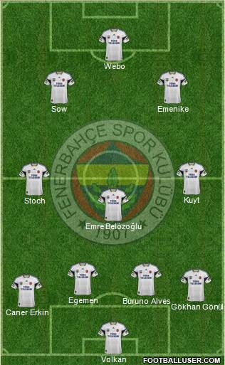 Fenerbahçe SK Formation 2014