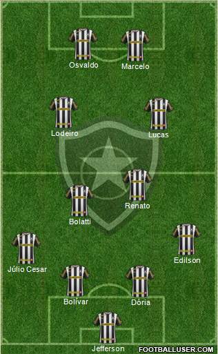 Botafogo FR Formation 2014