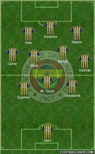 Fenerbahçe SK Formation 2014