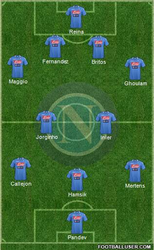 Napoli Formation 2014