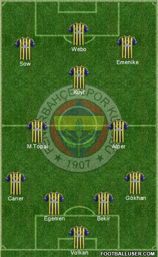 Fenerbahçe SK Formation 2014