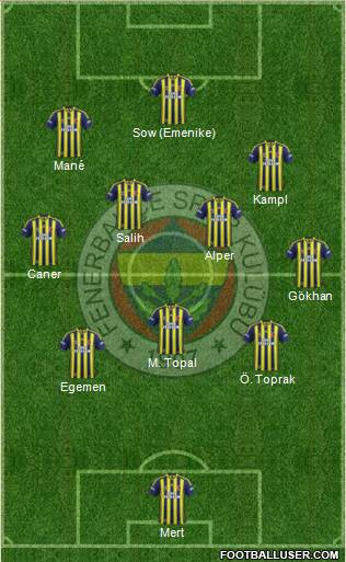 Fenerbahçe SK Formation 2014
