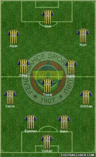 Fenerbahçe SK Formation 2014