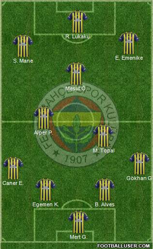 Fenerbahçe SK Formation 2014