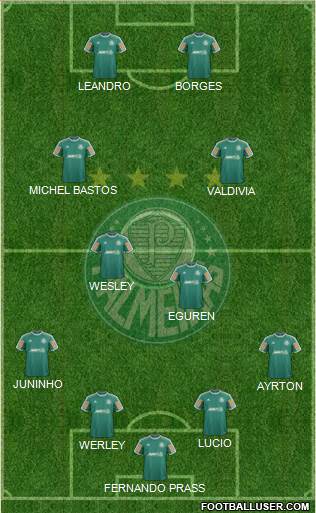 SE Palmeiras Formation 2014