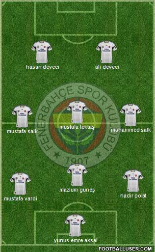 Fenerbahçe SK Formation 2014