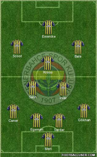 Fenerbahçe SK Formation 2014