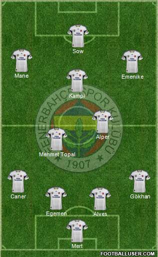 Fenerbahçe SK Formation 2014
