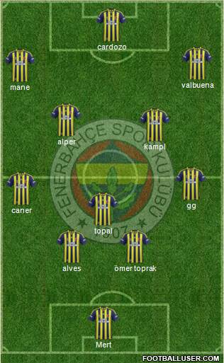Fenerbahçe SK Formation 2014