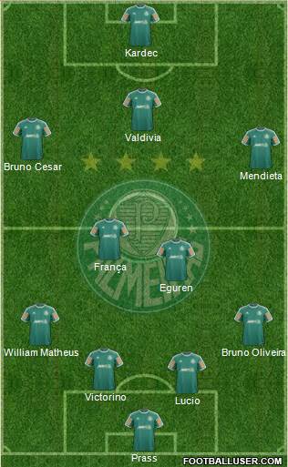 SE Palmeiras Formation 2014