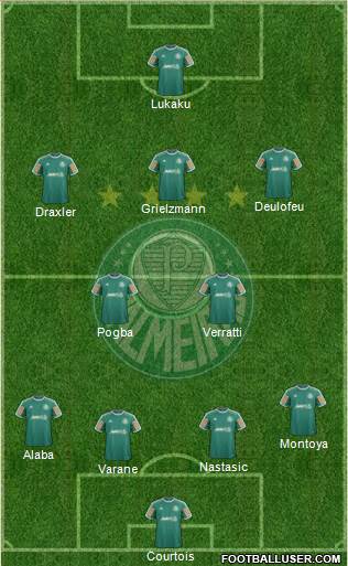 SE Palmeiras Formation 2014