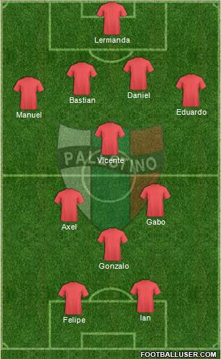 CD Palestino S.A.D.P. Formation 2014