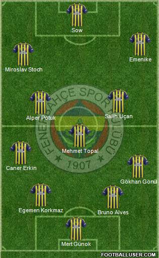 Fenerbahçe SK Formation 2014