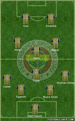Fenerbahçe SK Formation 2014