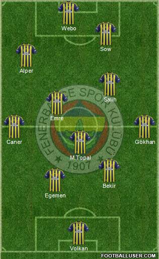 Fenerbahçe SK Formation 2014