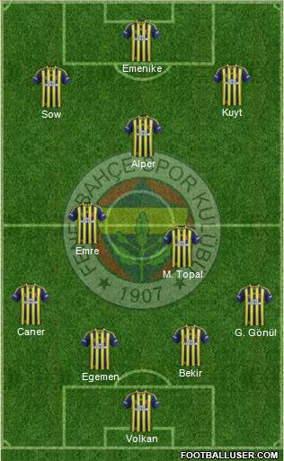 Fenerbahçe SK Formation 2014
