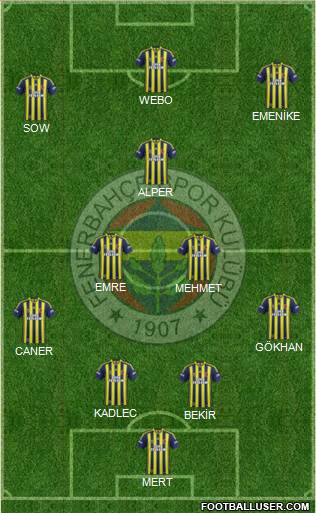 Fenerbahçe SK Formation 2014