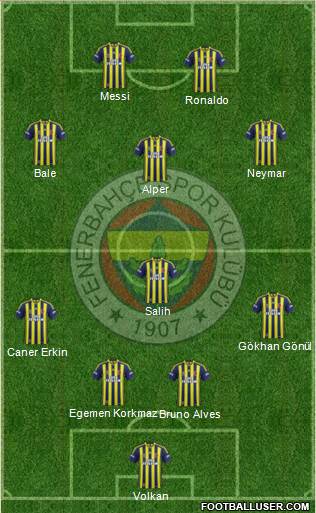 Fenerbahçe SK Formation 2014