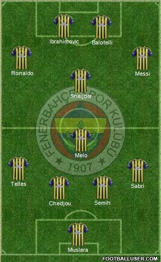 Fenerbahçe SK Formation 2014