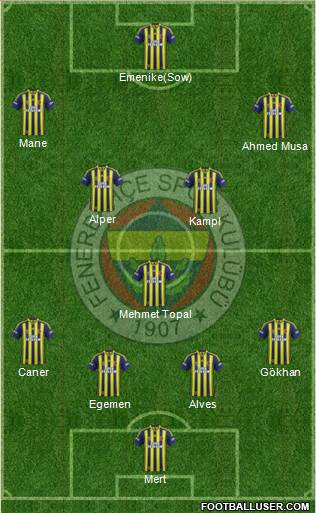 Fenerbahçe SK Formation 2014