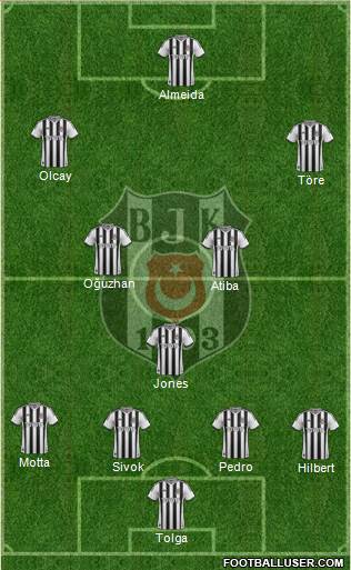 Besiktas JK Formation 2014