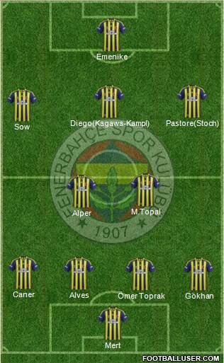 Fenerbahçe SK Formation 2014