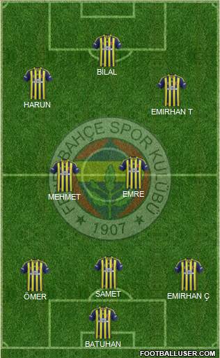 Fenerbahçe SK Formation 2014