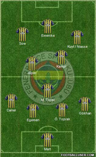 Fenerbahçe SK Formation 2014