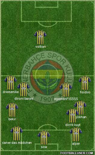 Fenerbahçe SK Formation 2014