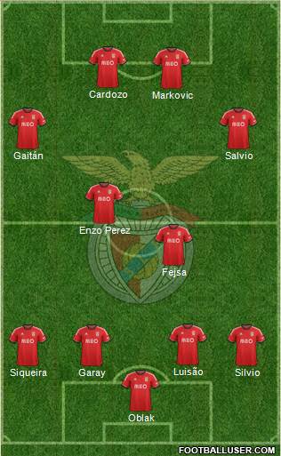 Sport Lisboa e Benfica - SAD Formation 2014