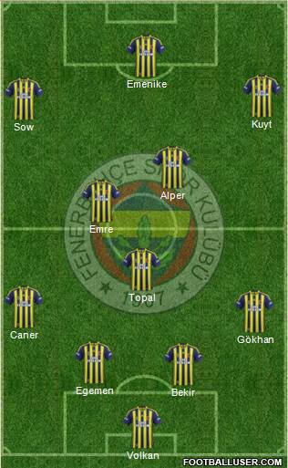 Fenerbahçe SK Formation 2014