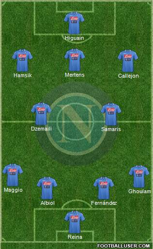 Napoli Formation 2014