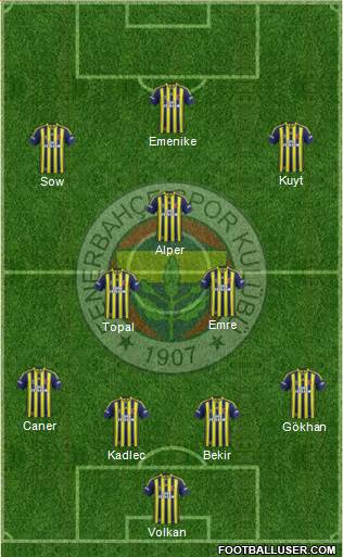Fenerbahçe SK Formation 2014