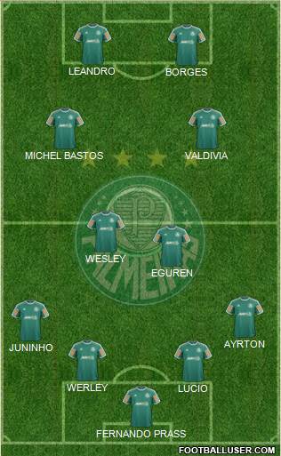 SE Palmeiras Formation 2014