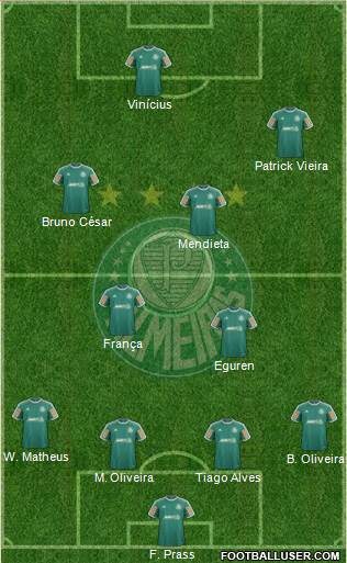 SE Palmeiras Formation 2014