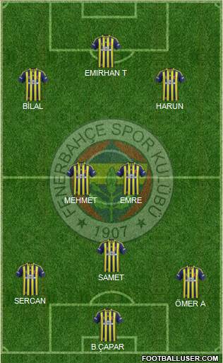 Fenerbahçe SK Formation 2014