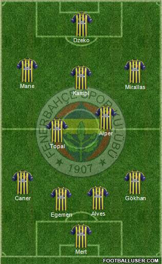 Fenerbahçe SK Formation 2014